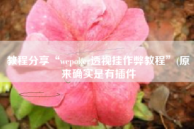 教程分享“wepoker透视挂作弊教程	”(原来确实是有插件