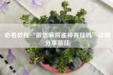 必看教程“微信麻将雀神有挂吗”详细分享装挂