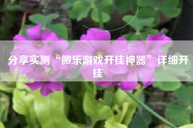 分享实测“微乐游戏开挂神器”详细开挂