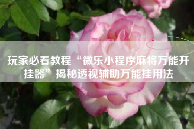 玩家必看教程“微乐小程序麻将万能开挂器	”揭秘透视辅助万能挂用法