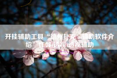 开挂辅助工具“德州扑克 ai辅助软件介绍”作弊(透视)透视辅助