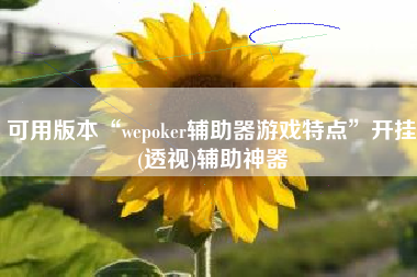可用版本“wepoker辅助器游戏特点”开挂(透视)辅助神器